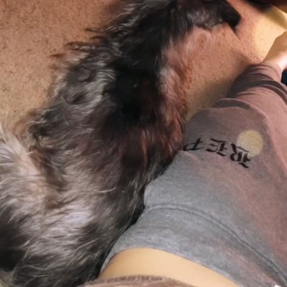 Taylor Swift Reputation Sweatpants Size Small